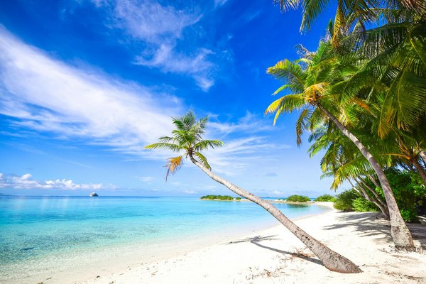 Comment organiser une croisière pour découvrir les réserves naturelles en Australie?